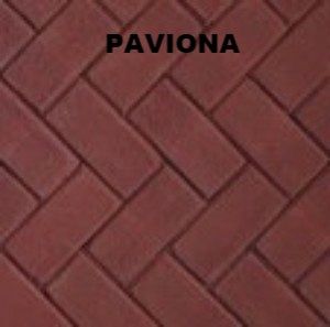 KK PAVIONA.jpg