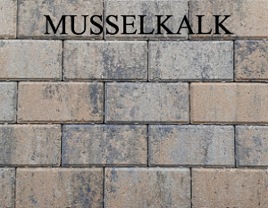 betonstraatsteen-6-cm-musselkalk-komo.jpg